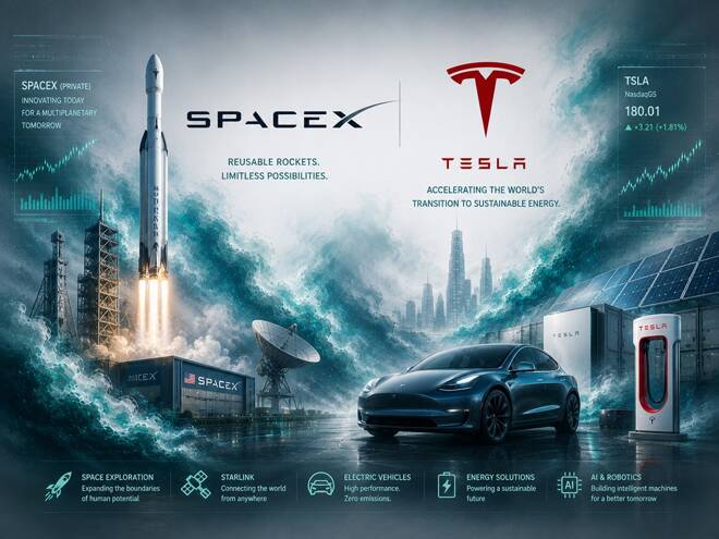 Rocket from SpaceX and car from Tesla, below their logos