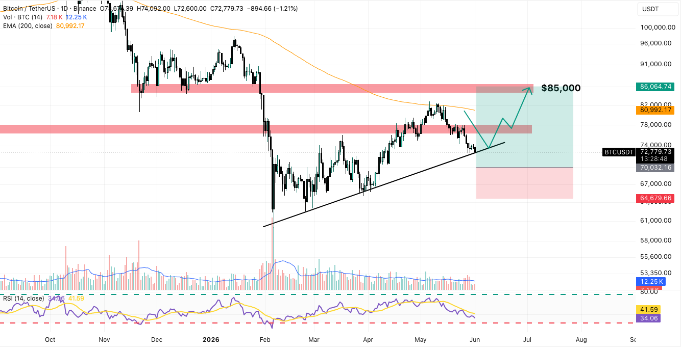 BTC/USDT Daily Chart