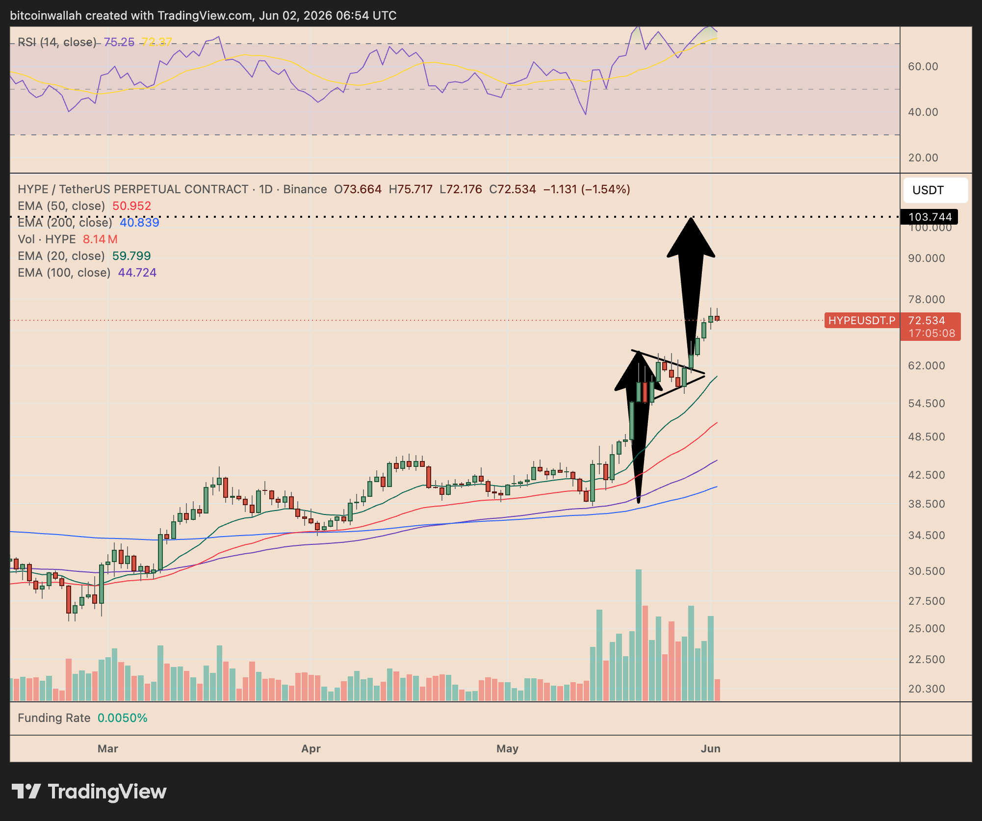HYPE/USDT daily price chart