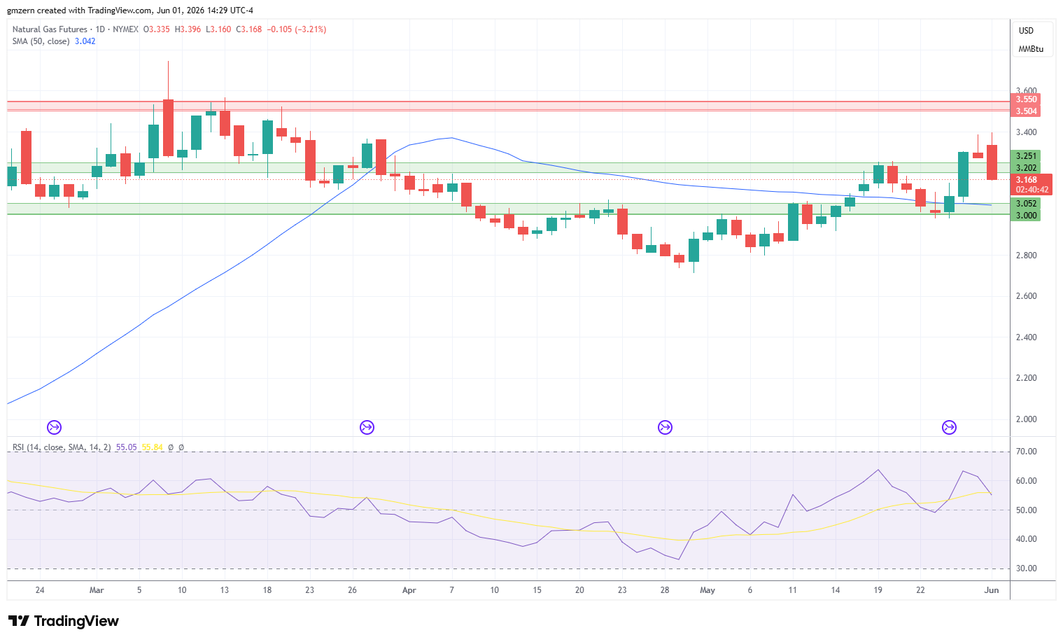 Natural Gas 010626 Daily Chart