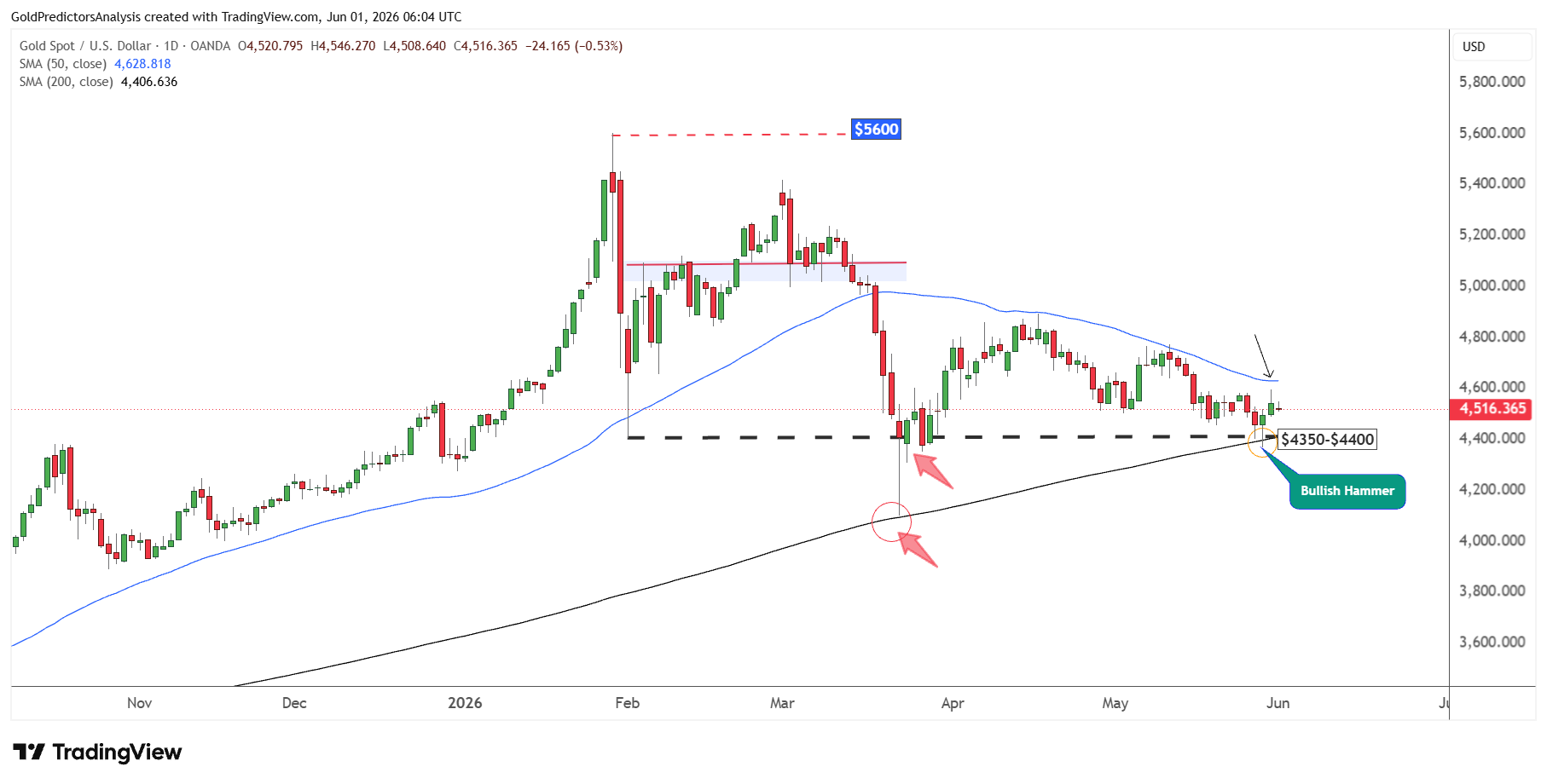 Gold Daily