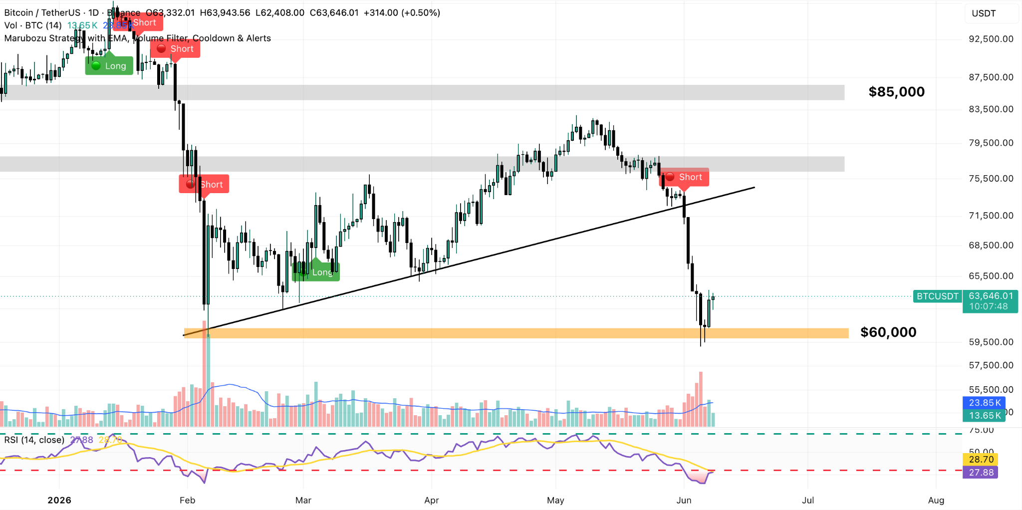 BTC/USDT Daily Chart