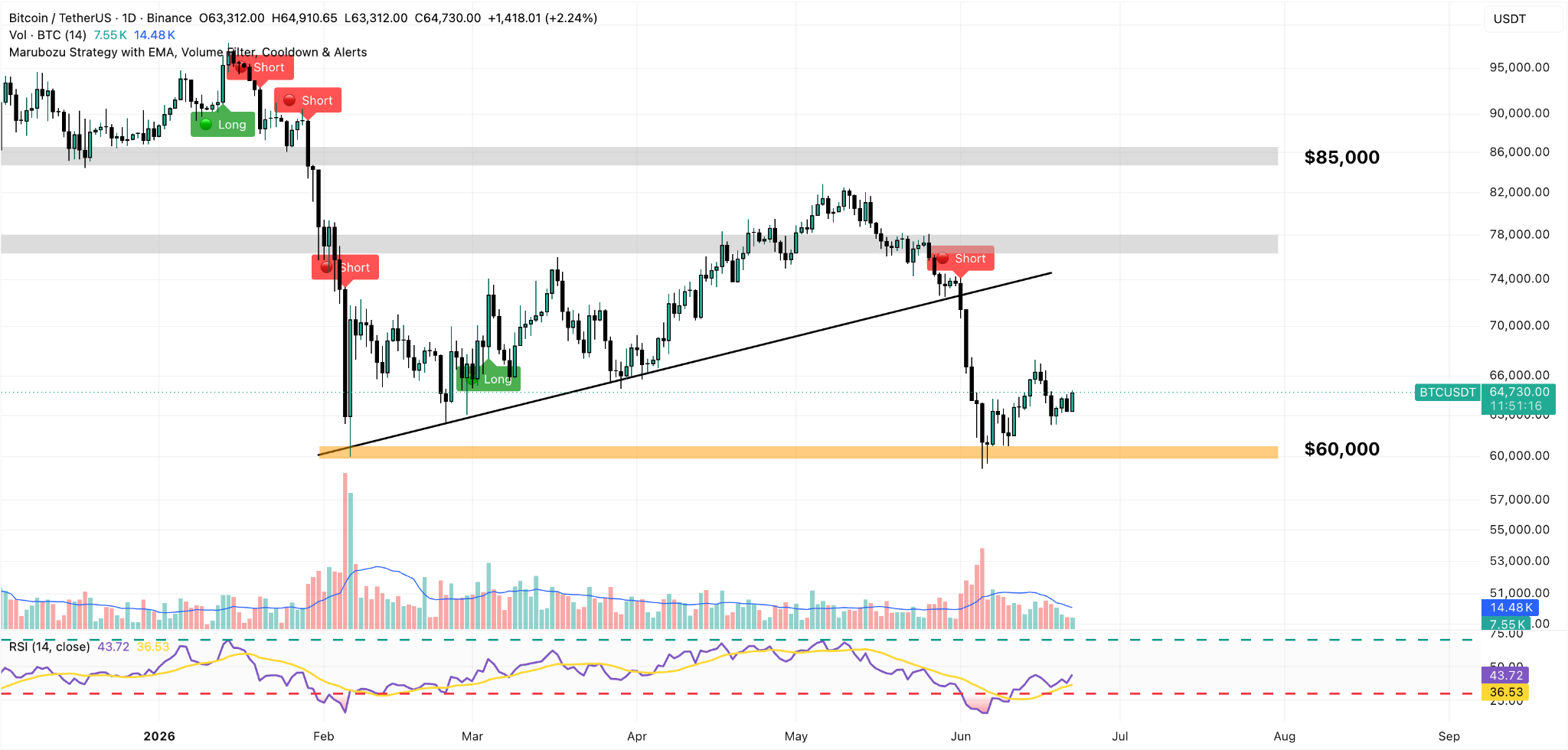 BTC/USDT Daily Chart
