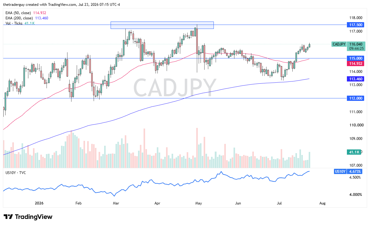 Gráfico diario de velas de CAD/JPY, cotizando cerca de 116,04 por encima de sus EMAs de 50 y 200 días.