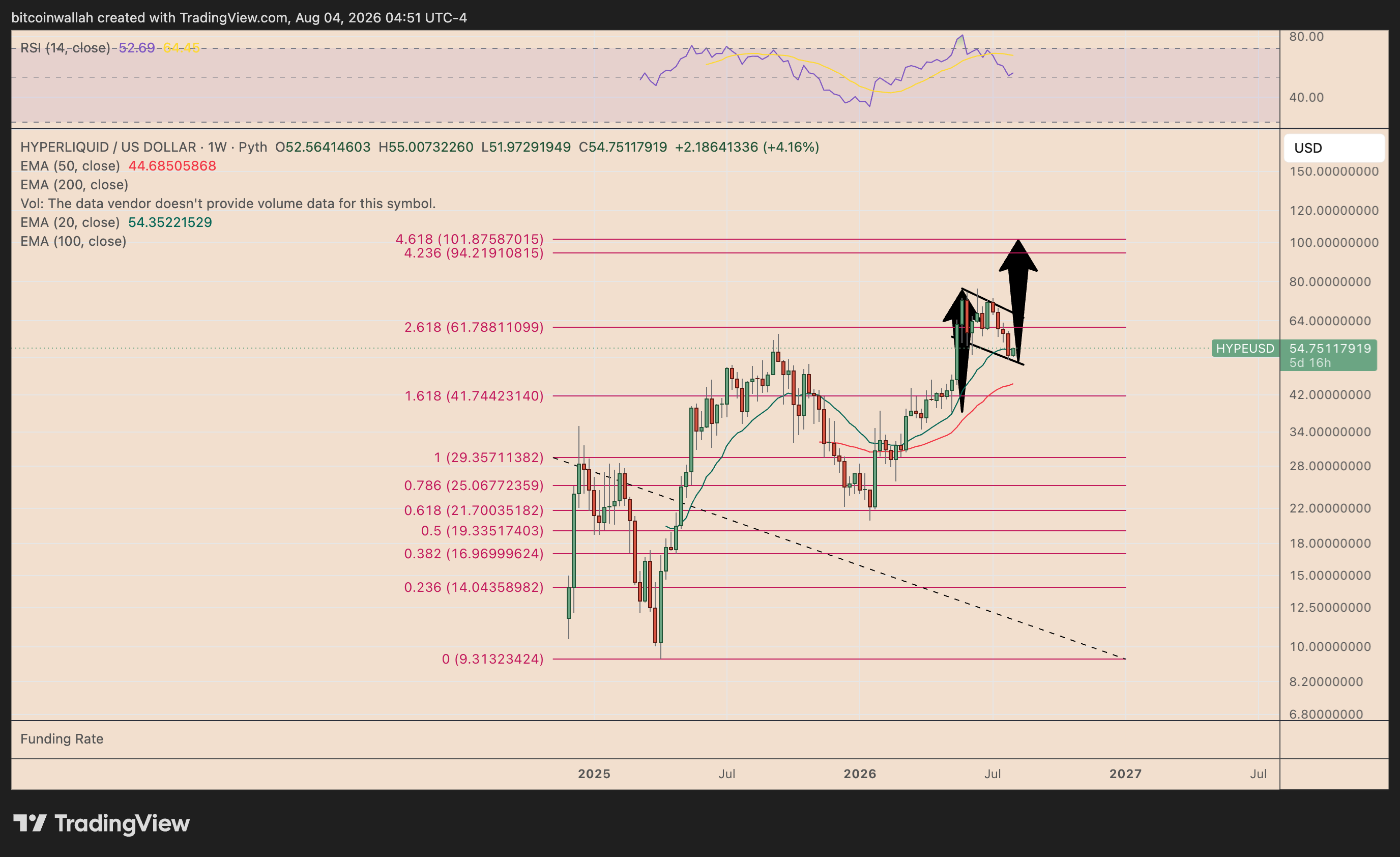 HYPE's weekly price performance chart featuring the bull flag breakout setup