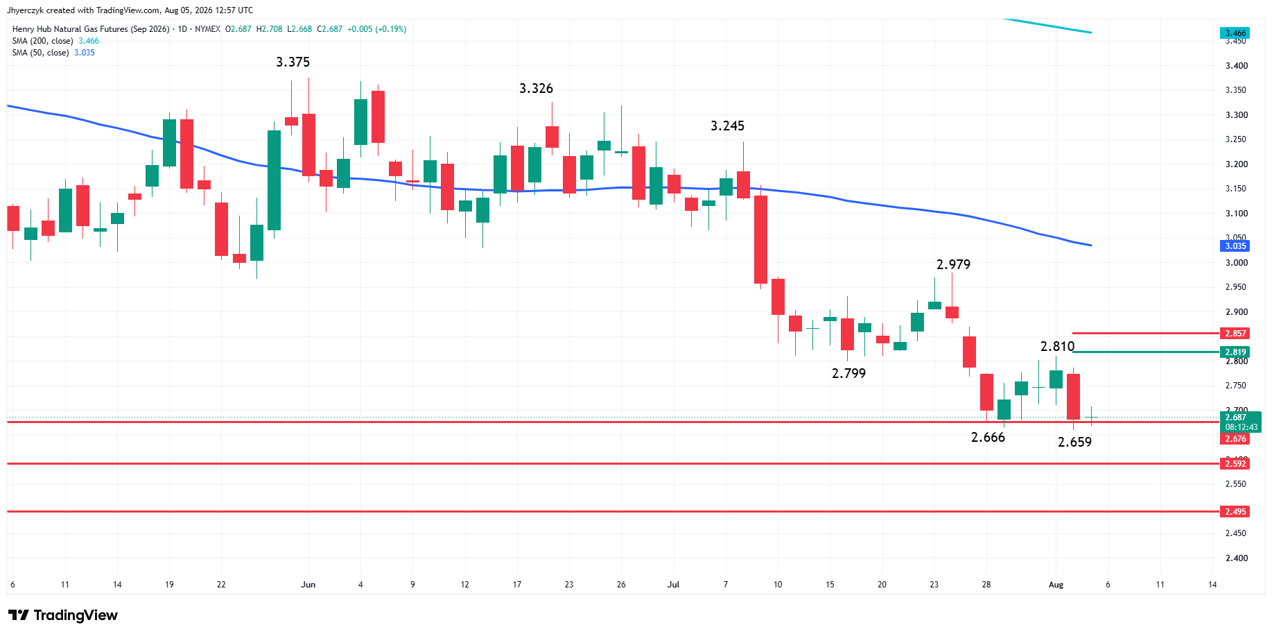 Natural Gas Futures Analysis