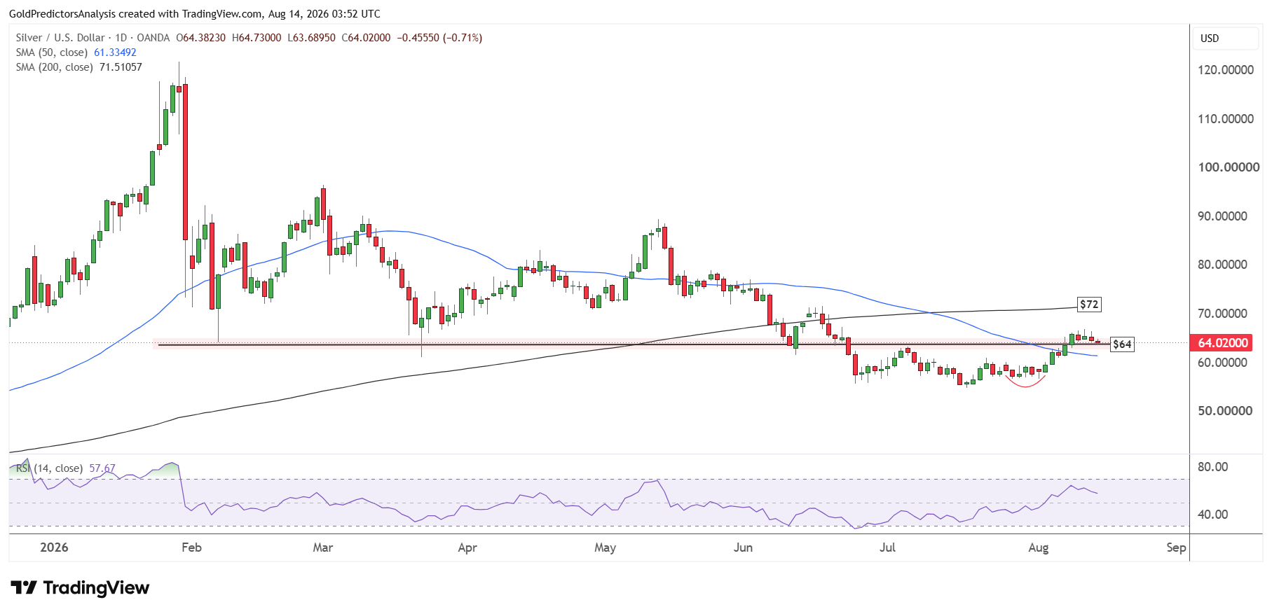 Silver daily