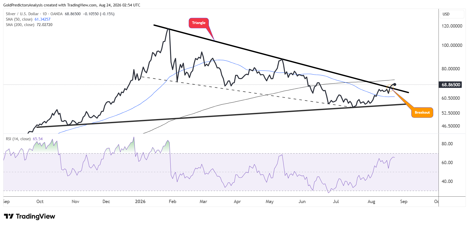 Silver Daily