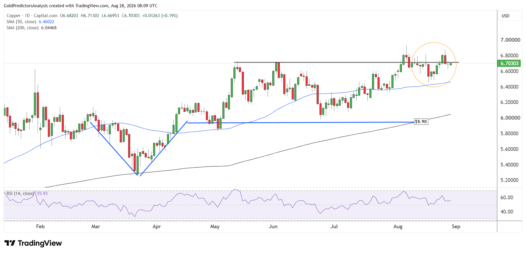 Copper daily