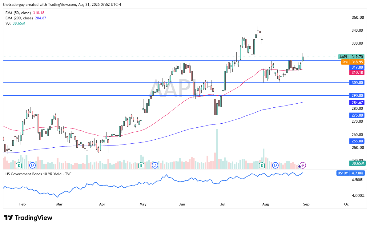 AAPL daily chart at 319.70 trading above the 317.00 support zone.