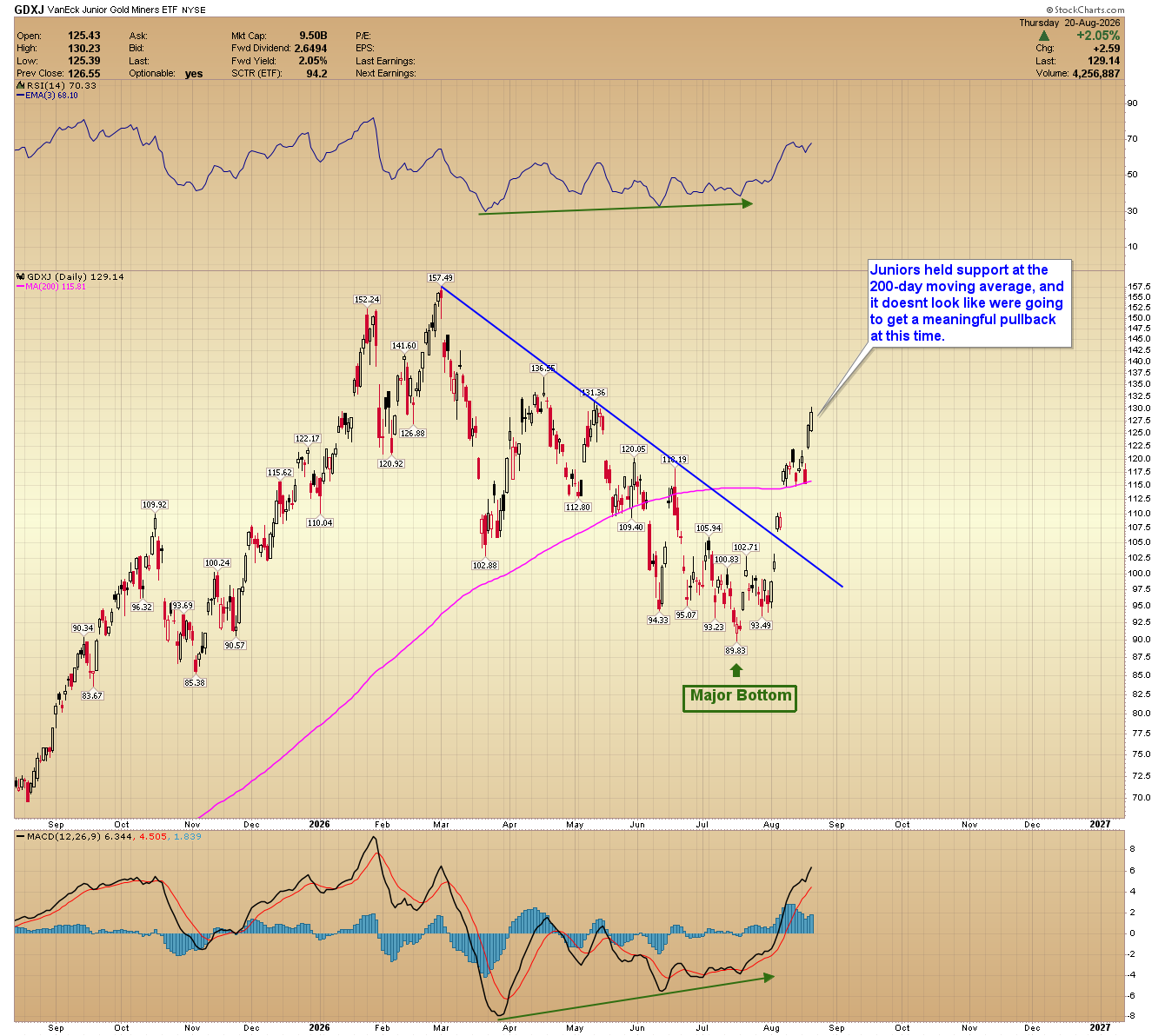 GDXJ chart showing junior gold miners holding the 200-day moving average and rallying from a major bottom.