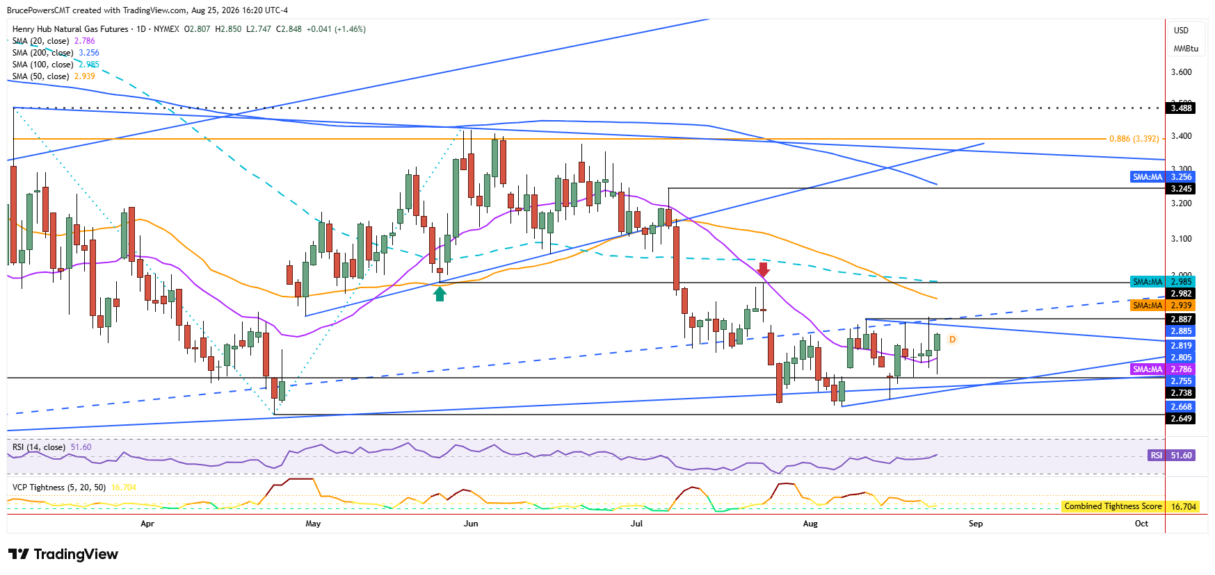 Natural gas futures daily chart shows consolidation near key potential support zone.