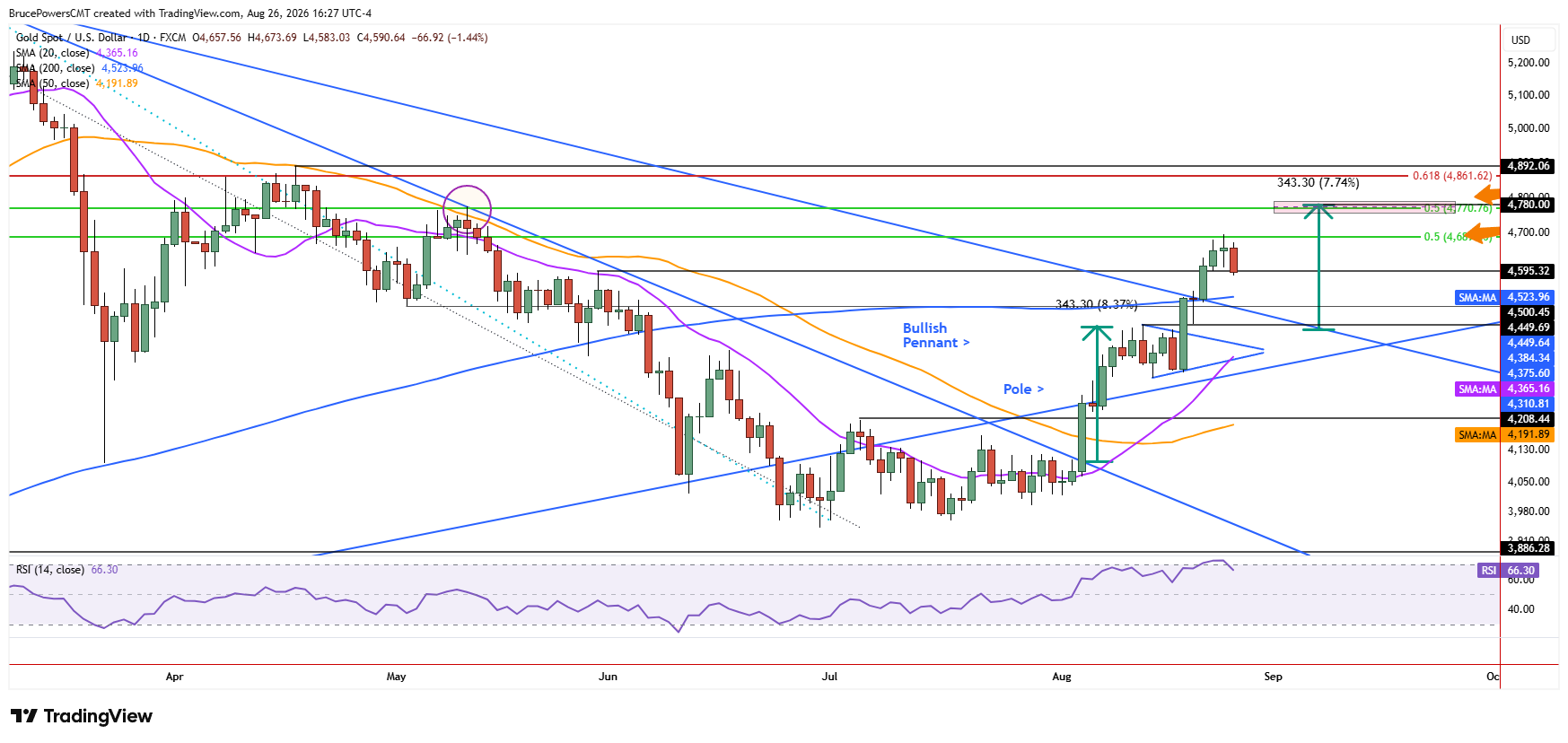 Spot gold daily chart shows beginning of pullback.