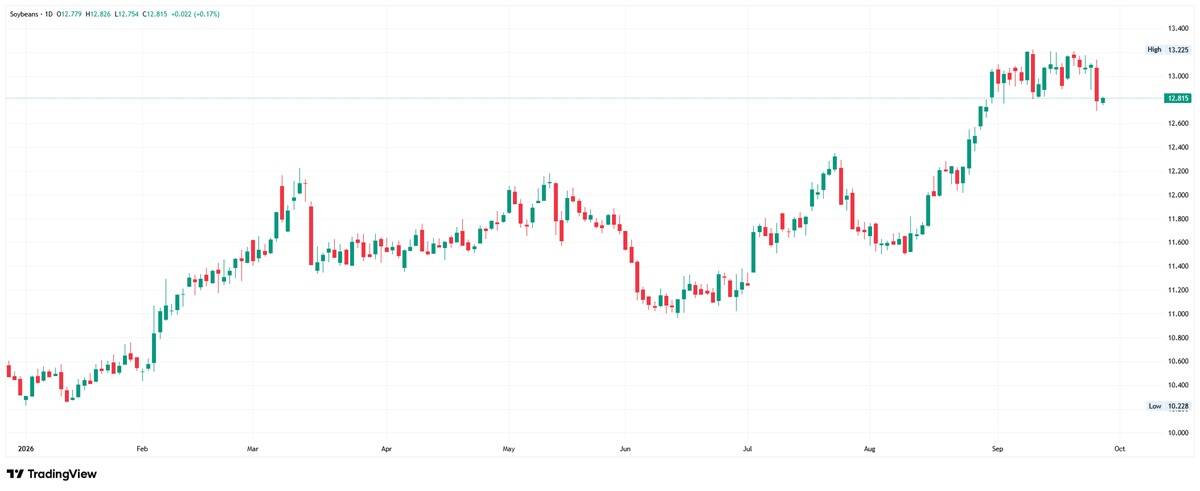 Daily candlestick price chart for Soybeans from TradingView showing an upward trend through 2026, trading around 12.815.