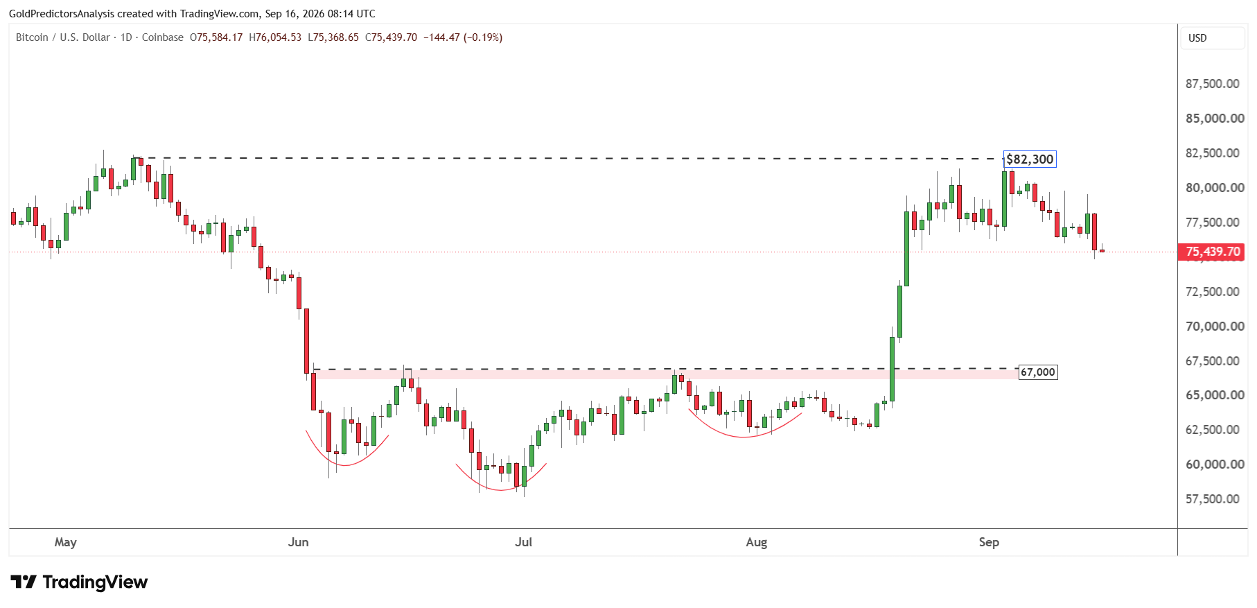 Bitcoin Daily