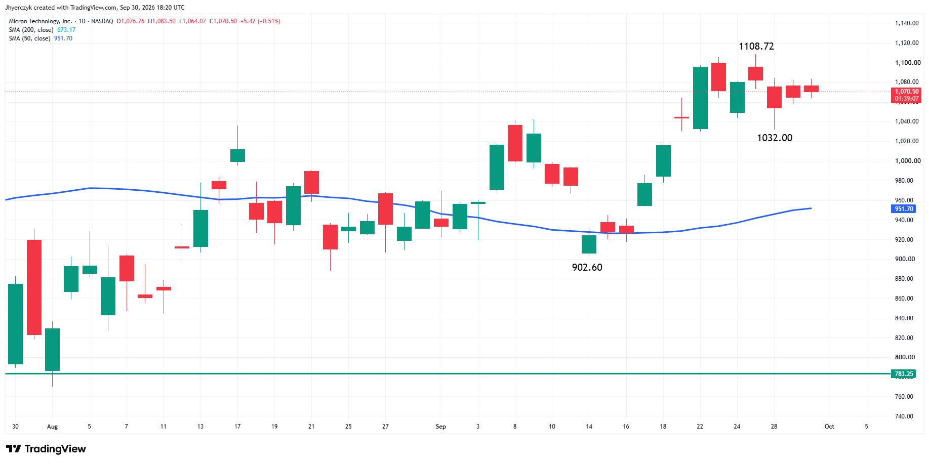 Micron Technology Inc. Analysis