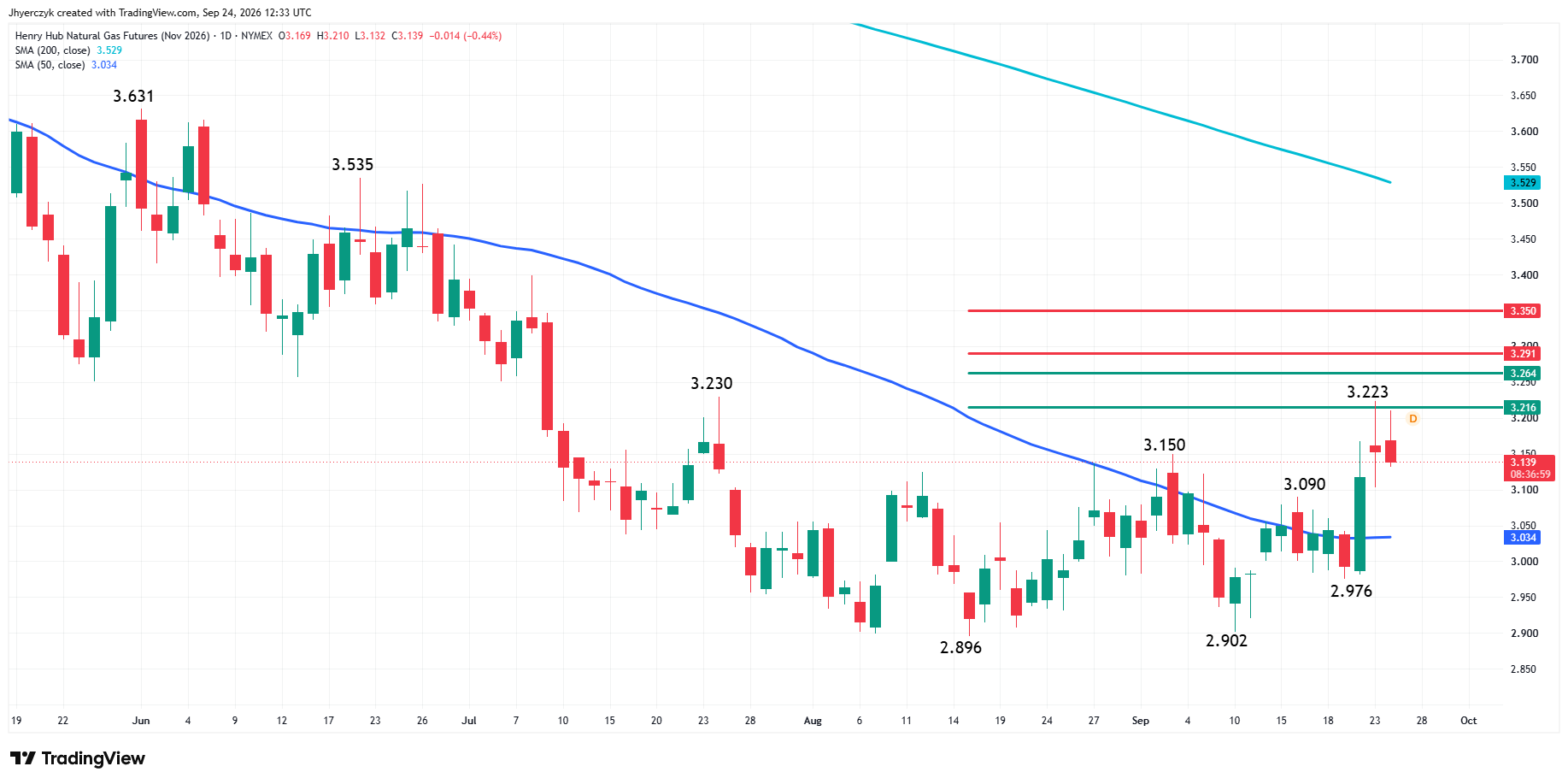 Natural Gas Futures Analysis