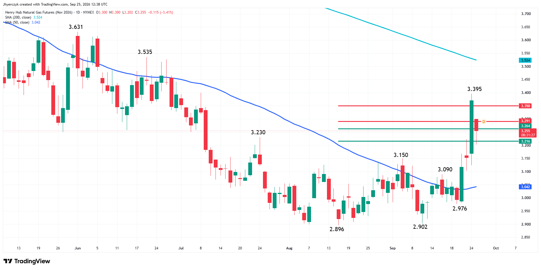 Natural Gas Futures Analysis