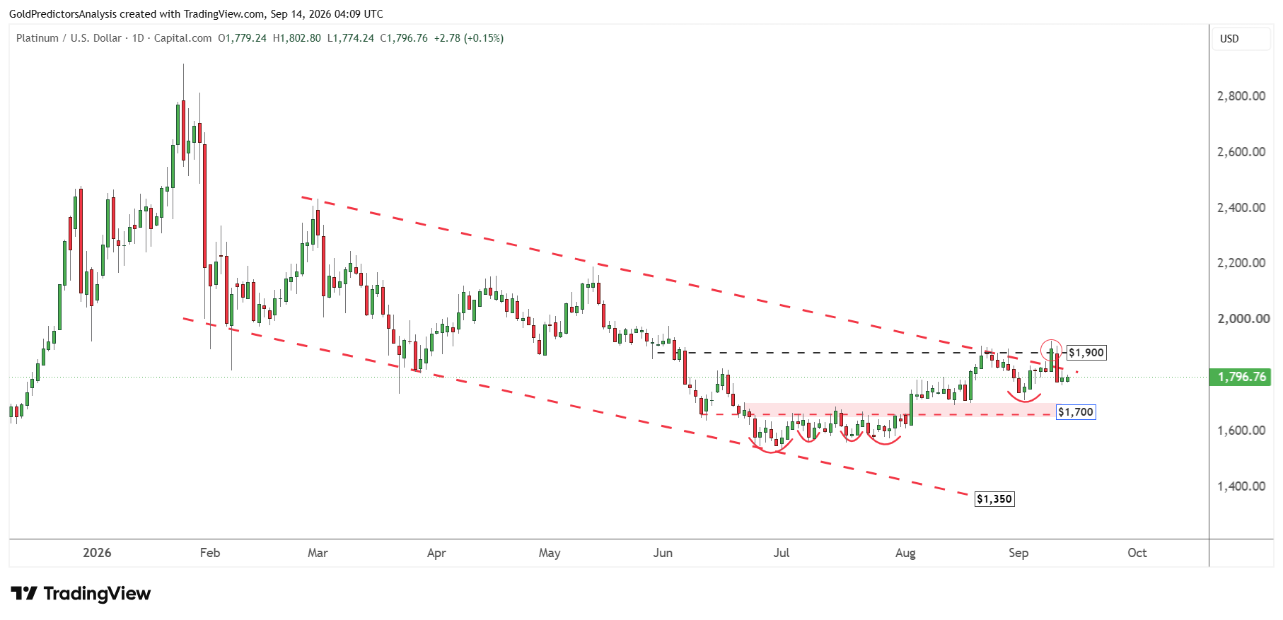 platinum daily