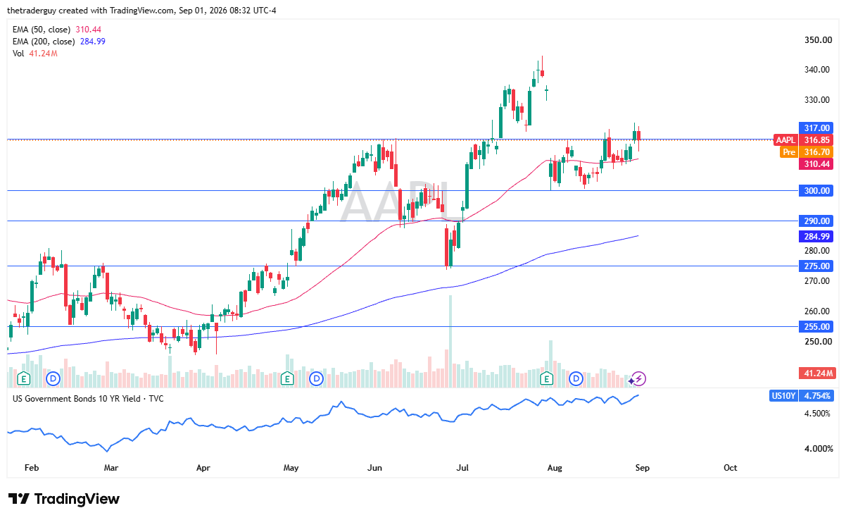Apple daily chart at 316.85 consolidating near the 317.00 resistance level.