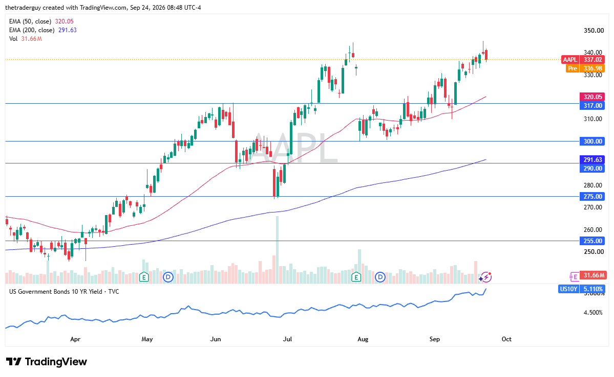 Daily candlestick chart of Apple (AAPL) stock testing resistance near $337.