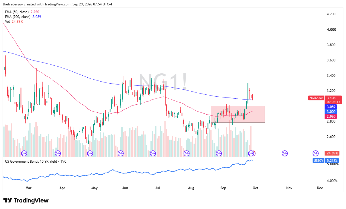 Natural Gas daily candlestick chart. Source: TradingView