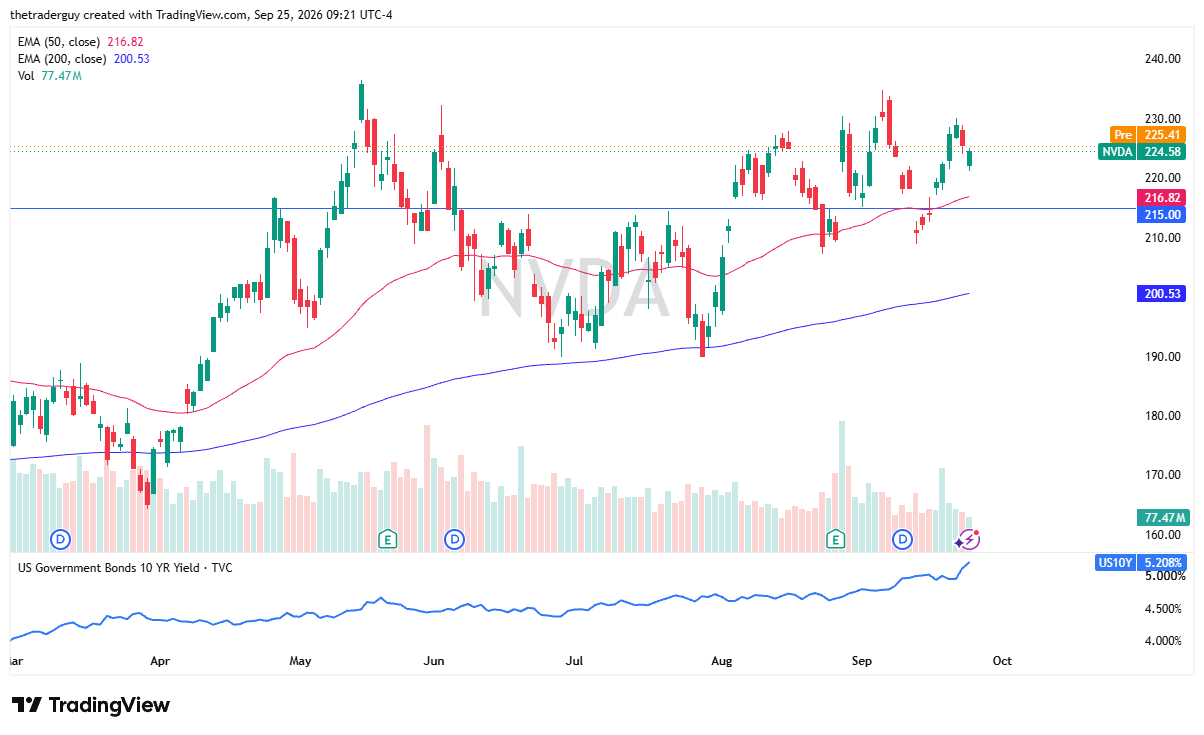 Daily NVIDIA candlestick chart showing price trading at $224.58 between the $215 support level and recent swing highs near $235.