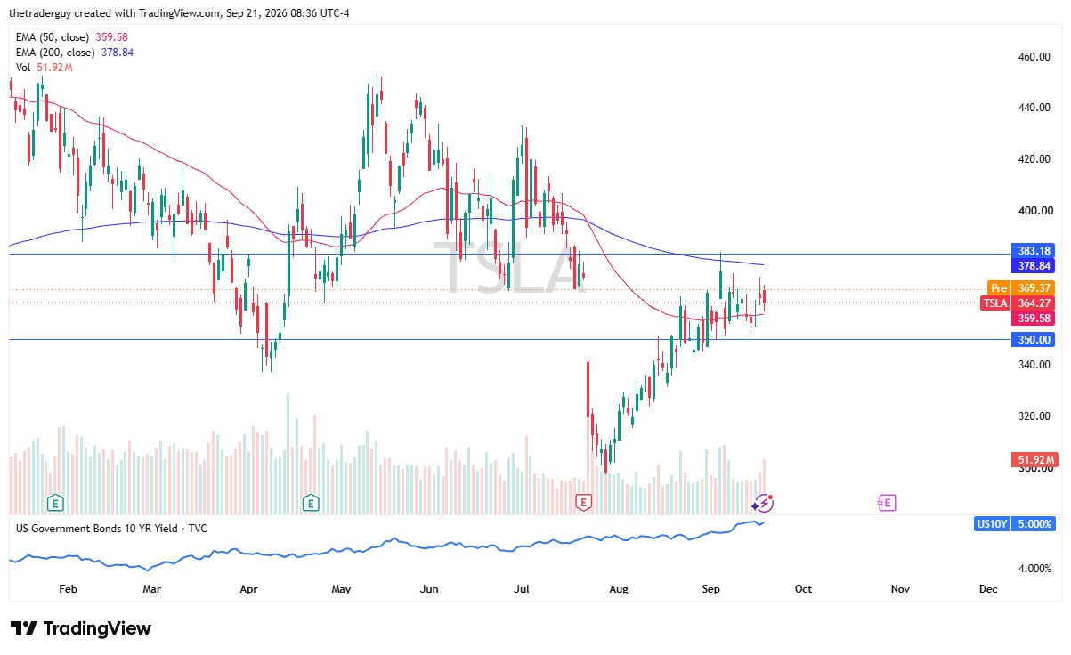 Gráfico diario de velas de Tesla (TSLA) que muestra precio en preapertura subiendo a $369,37 entre la EMA de 50 días en $359,58 y la EMA de 200 días en $378,84.