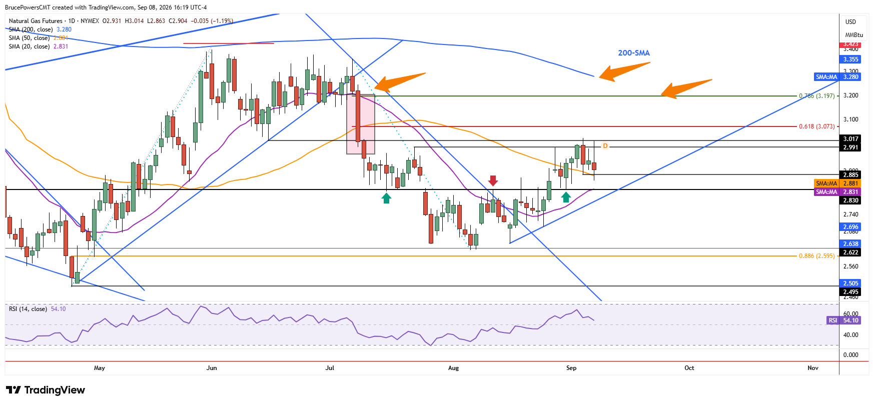 Natural gas futures daily chart shows support holding at 50-day moving average support.