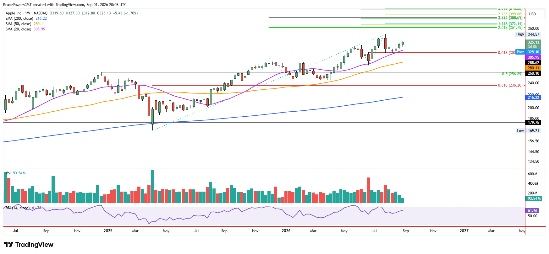 AAPL weekly chart shows uptrend intact following correction. 