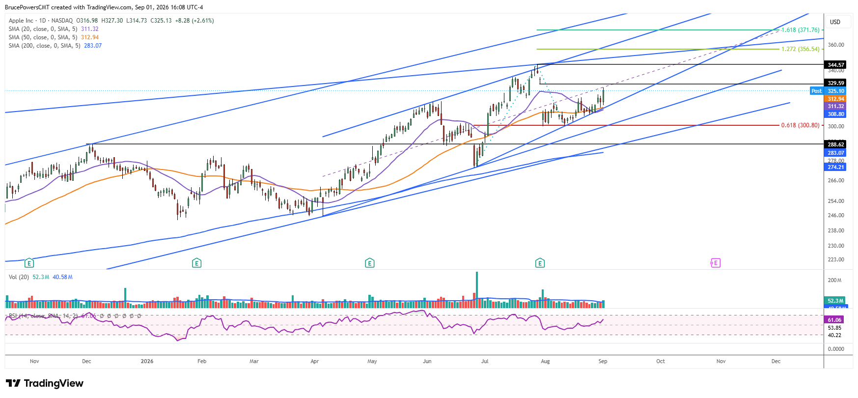 AAPL daily chart shows short-term price action. 