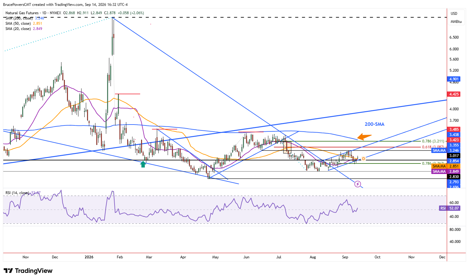 Natural gas futures daily chart shows larger trend structure. 
