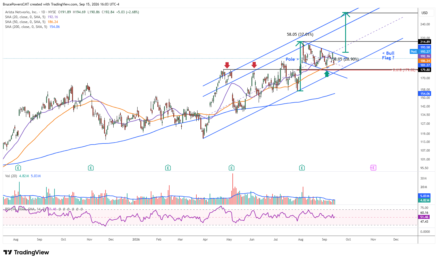 ANET daily chart shows formation of bullish flag. 