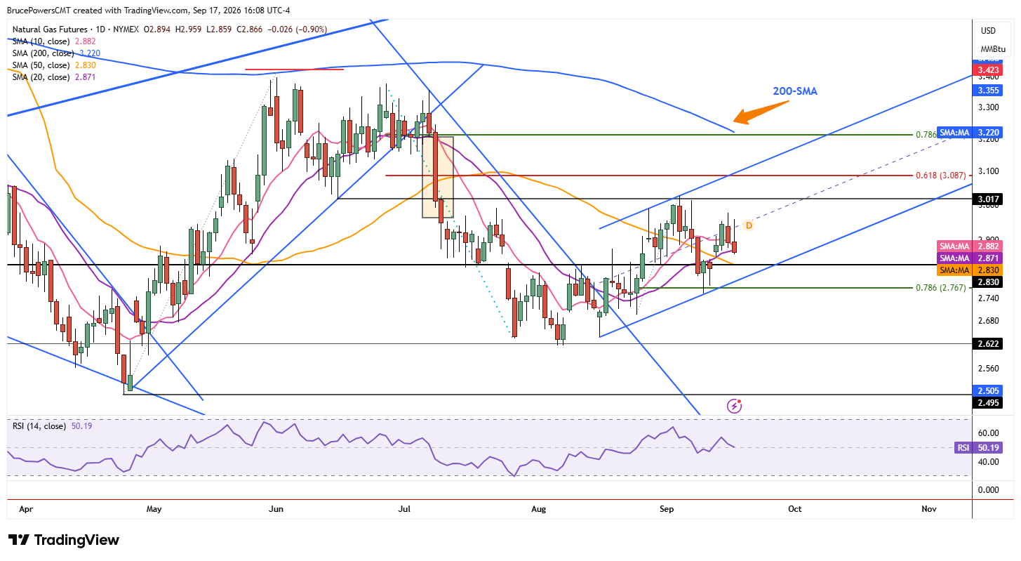 Natural gas futures daily chart shows short-term weakness within rising channel.