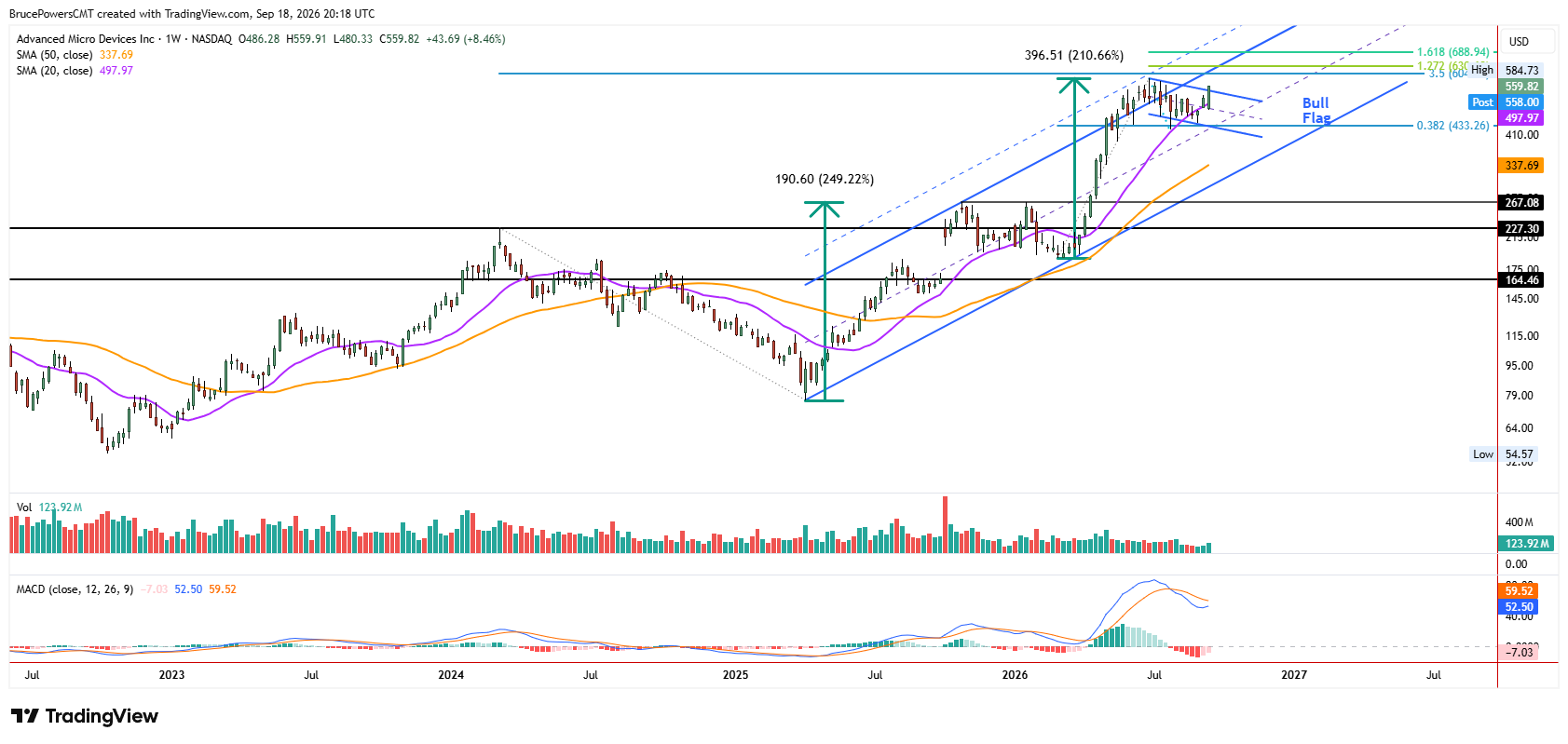 AMD weekly chart shows potential bull flag on deck at 20-week moving average support.