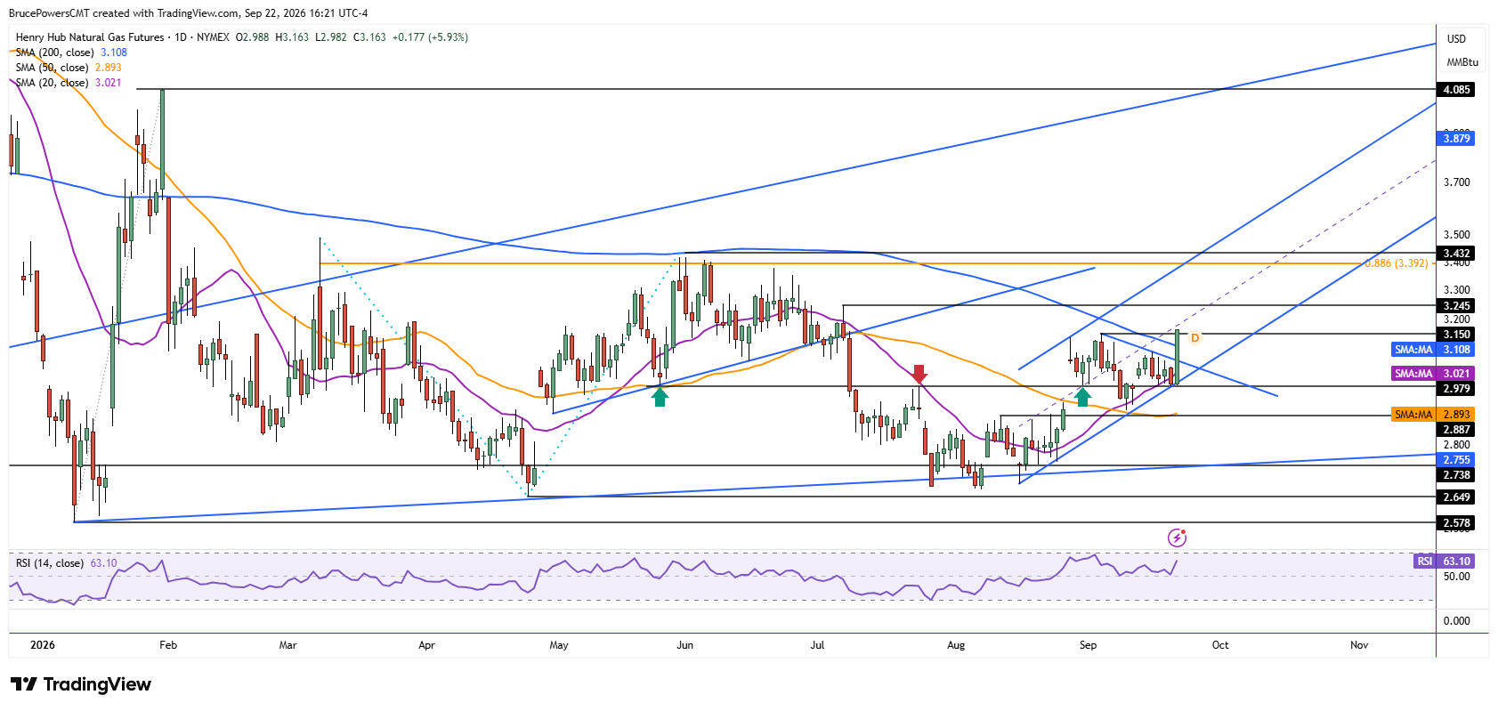 Natural gas futures daily chart shows larger trend structure.