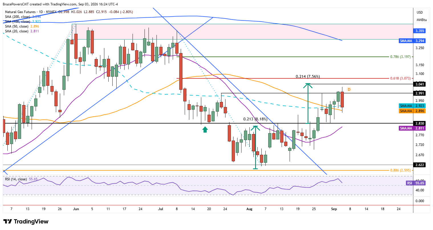 Natural gas futures daily chart shows failure to retain new highs.