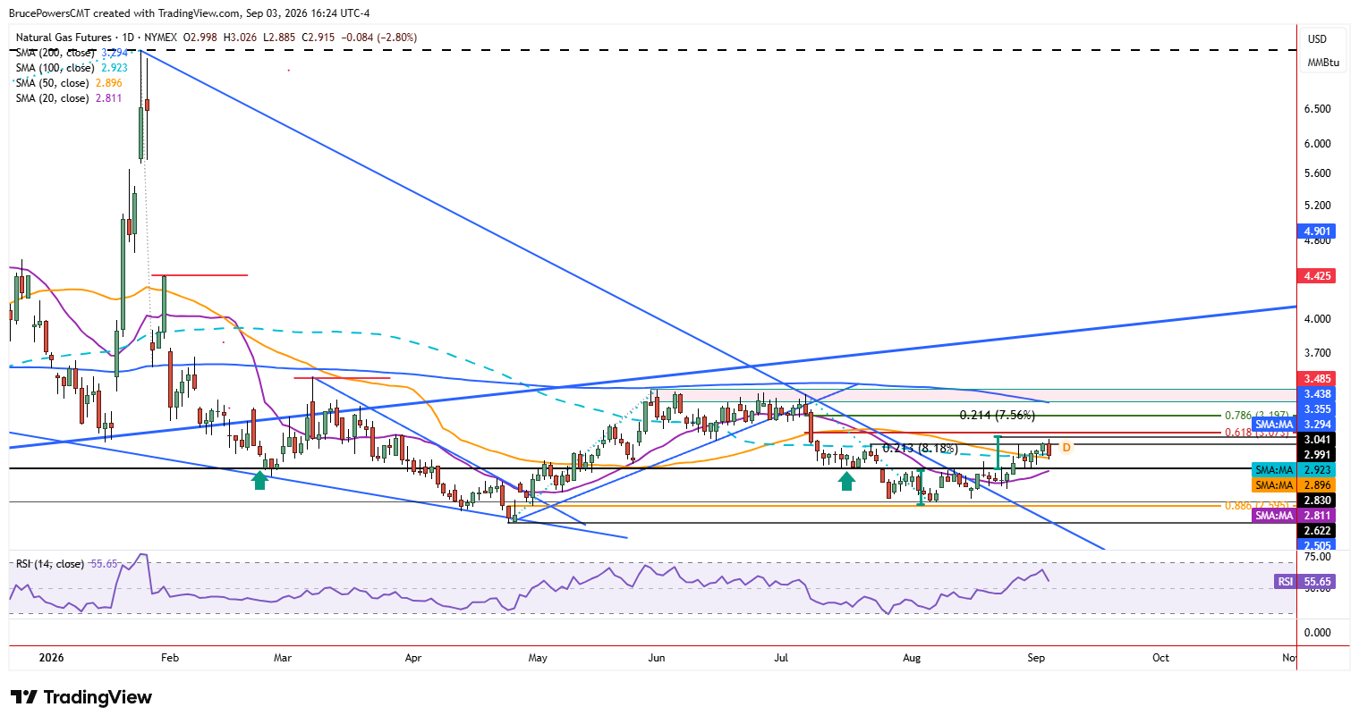 Natural gas daily chart shows recent higher swing low followed by bullish signals.