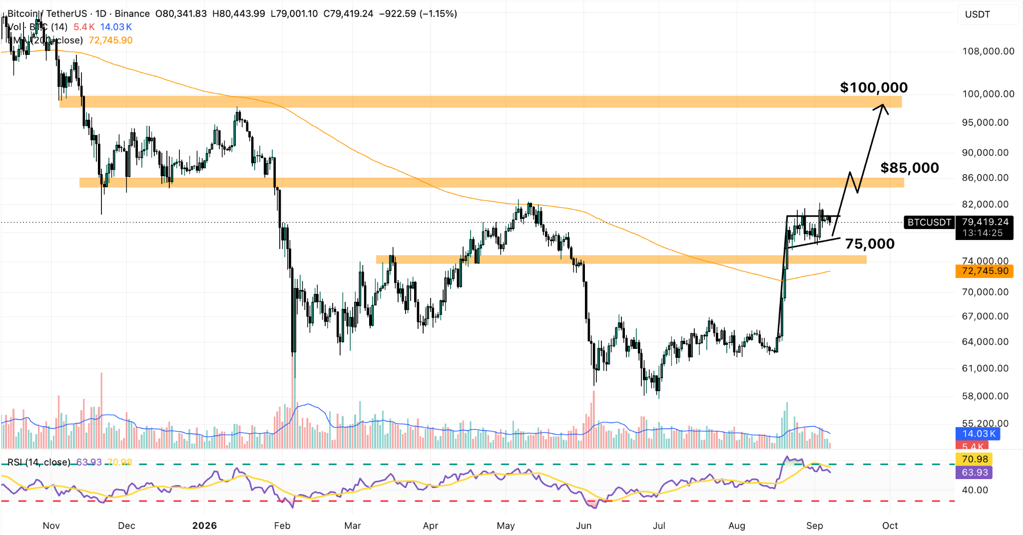 BTC/USDT Daily Chart