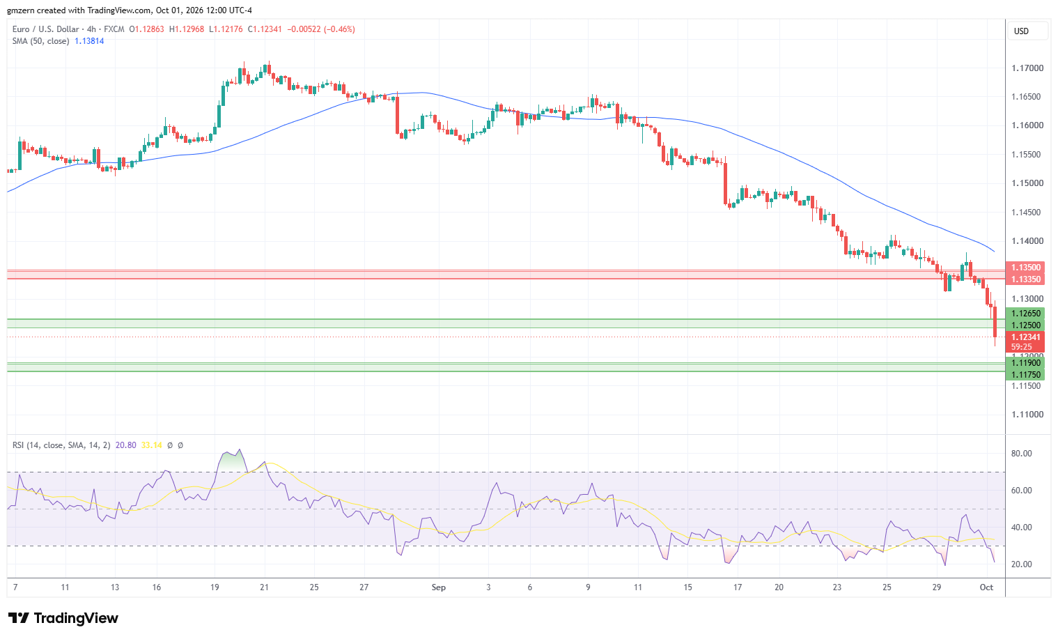 EUR/USD 011026 4h Chart