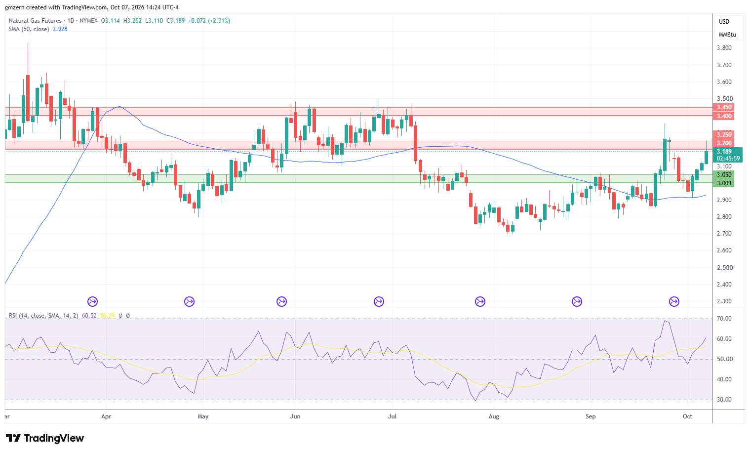 Natural Gas 071026 Daily Chart