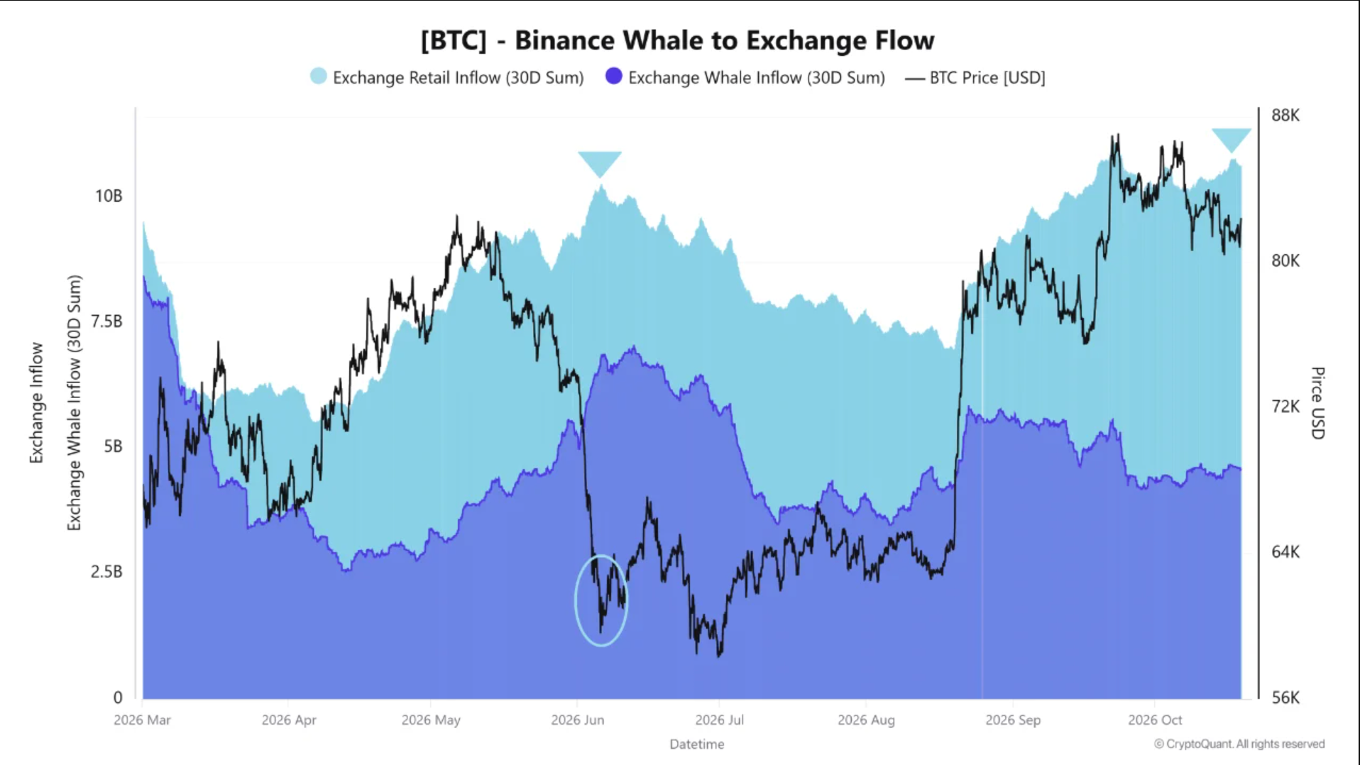 Flussi whale vs retail su Binance