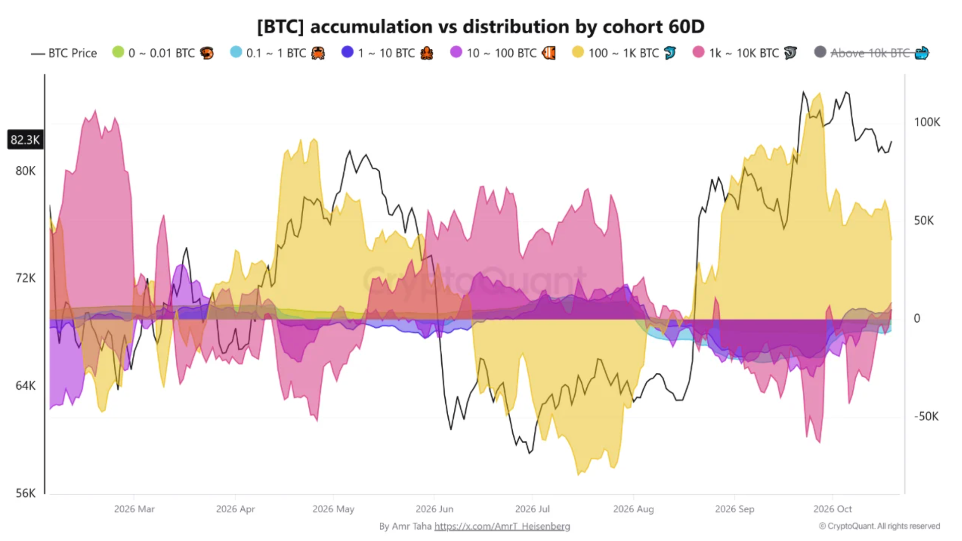 Accumulo vs distribuzione Bitcoin per coorte 60D