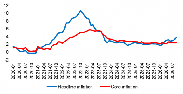 Figure 1. Euro area headline inflation sharply rose last month