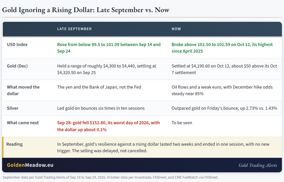 Gold Ignores the Dollar's New High: Strength or Delay? - Image 2