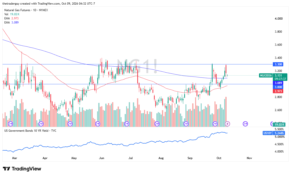 Daily candlestick chart of Natural Gas Futures on TradingView showing price at 3.131, trading above EMAs of 2.973 and 3.089.