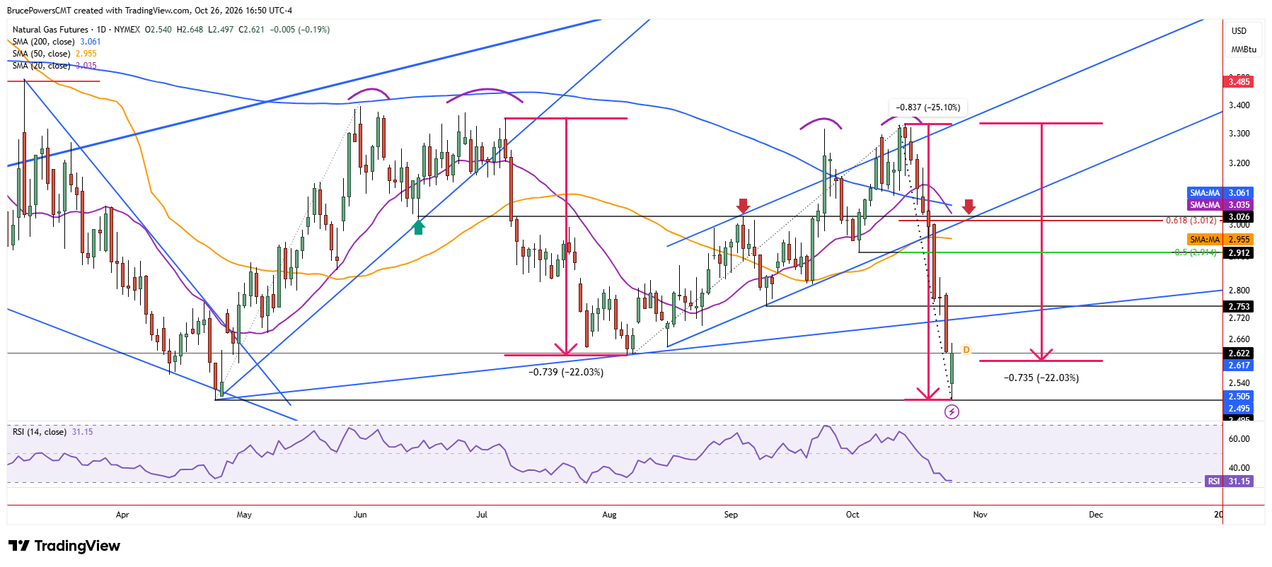 Natural gas futures daily chart shows bounce off key support