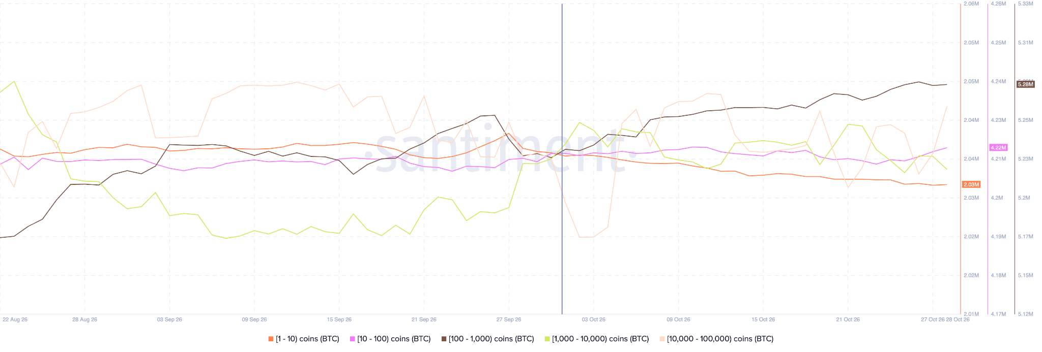 Bitcoin Whale Wallet Balances