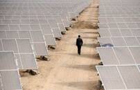 FILE PHOTO: A man walks through solar panels at a