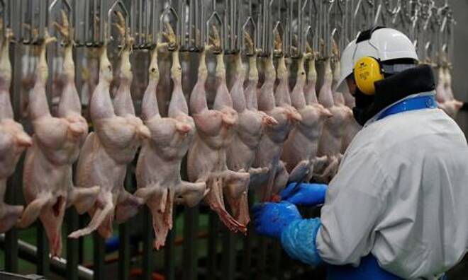 A worker processes chickens on the production line at the Soanes Poultry factory near Driffield